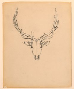 Studio di testa di cervo da Kenyon Cox