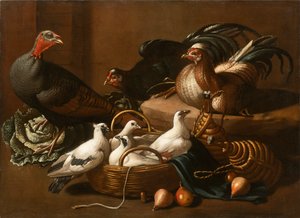 Pollame in cucina, metà del XVII secolo da Kerckhoven