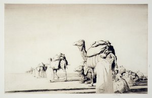 Trasporto nel deserto