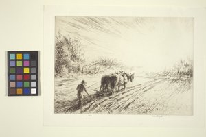 Aratura precoce (Primavera)