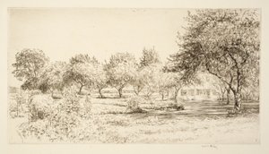 Il frutteto
