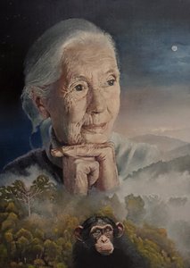 Siamo tutti connessi (La saggezza di Jane Goodall)