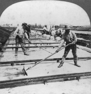 Evaporazione solare, produzione di sale, Syracuse, New York, USA, 20° secolo da Keystone View Company