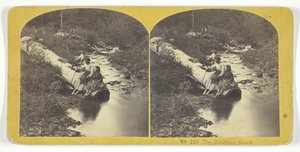 Il ruscello gorgogliante, 185575. Creatori: Kilburn Brothers, BW Kilburn