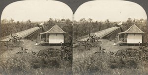 Gruppo di 14 stereografie dell