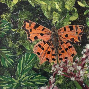 Farfalla su japonica