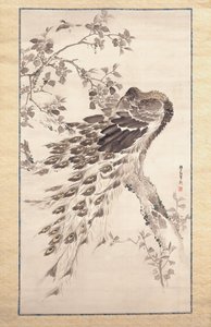 Pavone su albero di ciliegio-melo da Kishi Ganku