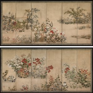 Fiori e erbe