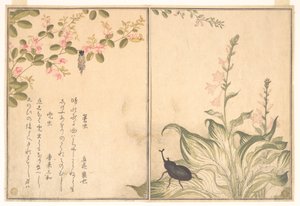  da Kitagawa Utamaro