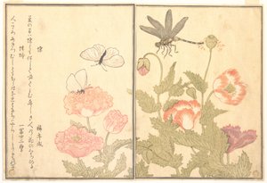  da Kitagawa Utamaro