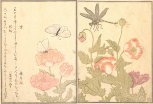 Farfalla Cho, Libellula Kagero o Tonbo, 1788 da Kitagawa Utamaro