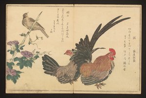 Gallo e zigolo da Kitagawa Utamaro