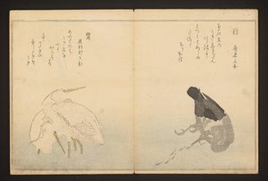 Cormorano e airone da Kitagawa Utamaro
