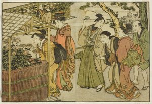 Esposizione di crisantemi, dal libro illustrato "Libro illustrato: Fiori delle quattro stagioni," vol. 2