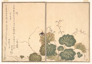  da Kitagawa Utamaro