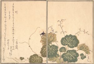 Lombrico Mimizu, Grillo Korogi da Kitagawa Utamaro