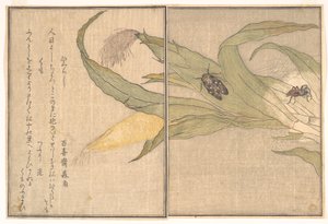  da Kitagawa Utamaro