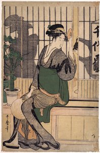La casa da tè Chiyozuru (ombre sullo shoji)