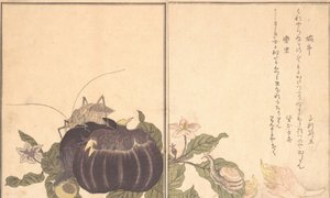 Lumaca terrestre Katatsumuri, cavalletta gigante Kutsuwamushi