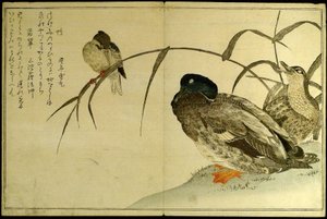 Miriadi di uccelli: Una gara di Kyoka (Momo chidori kyoka awase) da Kitagawa Utamaro