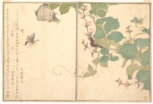  da Kitagawa Utamaro