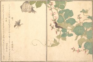 Vespa di carta Hachi, bruco peloso Kemushi..., 1788 da Kitagawa Utamaro