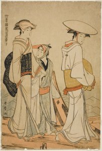 Piaceri delle quattro stagioni: Colori e profumi dei fiori, sinistra (Shiki no asobi hana no iroka, ge) da Kitagawa Utamaro