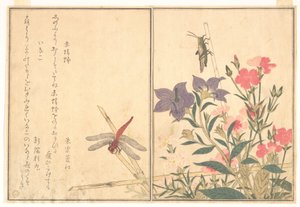  da Kitagawa Utamaro