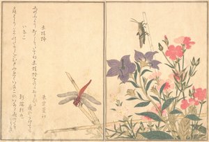 Libellula rossa Akatonbo, locusta Inago..., 1788 da Kitagawa Utamaro