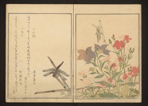 Libellula rossa e locusta tra i garofani da Kitagawa Utamaro