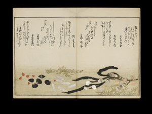 Shiohi no tsuto (Regali dalla marea calante), noto come il Libro delle Conchiglie, 1789