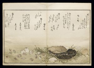 Shiohi no tsuto (Regali dalla marea calante), noto come il Libro delle Conchiglie, 1789