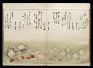 Shiohi no tsuto (Regali dalla marea calante), noto come il Libro delle Conchiglie, 1789
