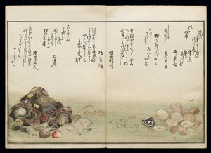 Shiohi no tsuto (Regali dalla marea calante), noto come il Libro delle Conchiglie, 1789