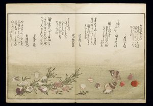 Shiohi no tsuto (Regali dalla marea calante), noto come il Libro delle Conchiglie, 1789