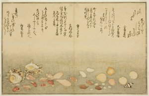 Shiro-gai, namima-gashiwa, makura-gai, iro-gai, aza-gai, sadae-gai, dal libro illustrato "Regali dalla marea calante (Shiohi no tsuto)"
