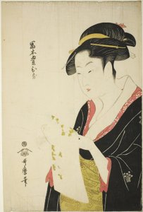 Tomimoto Toyohina, 1793 circa (stampa xilografica a colori; oban) da Kitagawa Utamaro