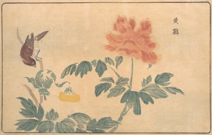 Rigogolo cinese e peonie, 1789 da Kitao Masayoshi