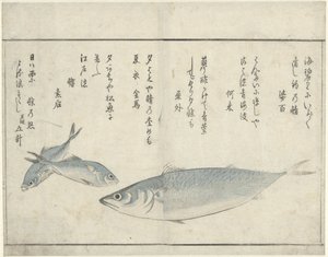 Tre pesci da Kitao Masayoshi