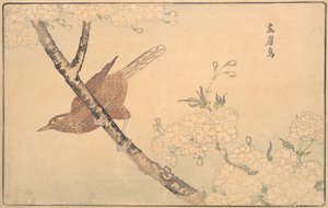 Il tordo grigio, 1789 da Kitao Masayoshi