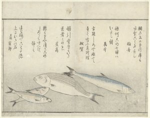 Quattro pesci da Kitao Masayoshi