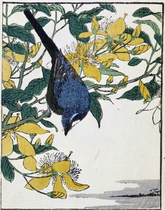 Uccello su un albero. Disegno giapponese di Kitao Kosuisai