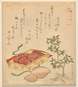 Racconto del tagliatore di bambù, dalla serie Racconti assortiti da Kitao Shigemasa