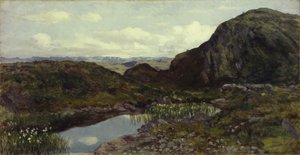 Da Jotunheimen