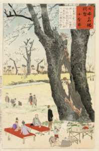 Koganei, fioritura dei ciliegi da Kiyochika Kobayashi