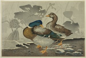 Una coppia di anatre vicino a uno stagno di loto da Kobayashi Kiyochika