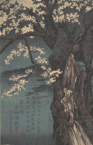 Albero di Ciliegio, datato 1874