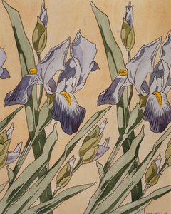Iris, 1898 da Koloman Moser