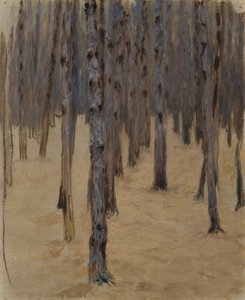 Foresta di conifere nella neve da Koloman Moser
