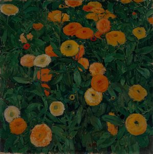 Calendule